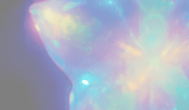 Step 4 background